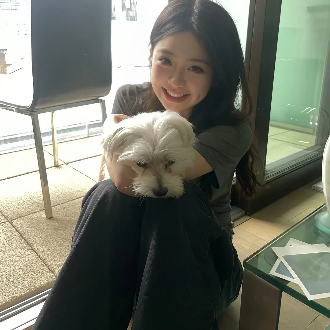 九龙城寨之卧虎藏龙